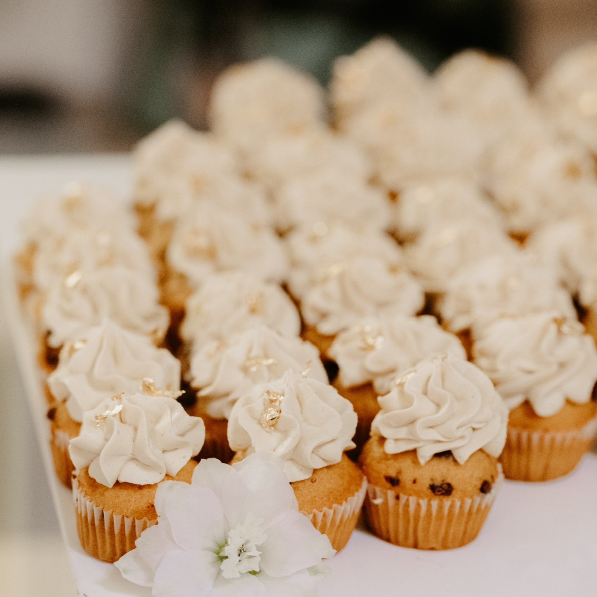 Leckereien | Muffins